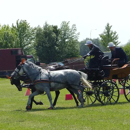 Apartament Furo Vendeghaz 2