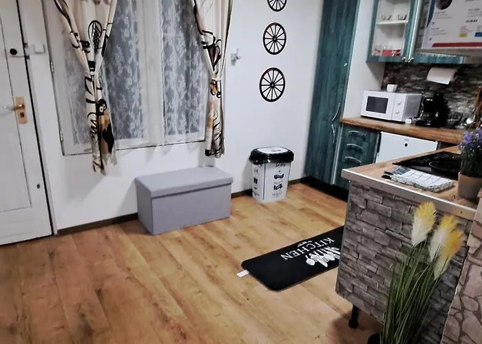 Furo Vendeghaz 2 Fulop