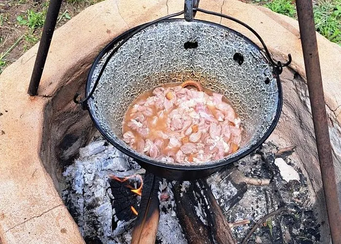 Furo Vendeghaz 2 Fulop