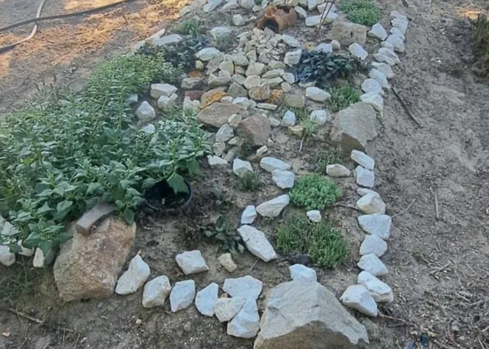 Furo Vendeghaz 2 Fulop