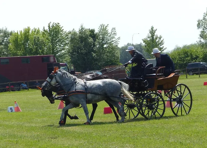 Apartament Furo Vendeghaz 2