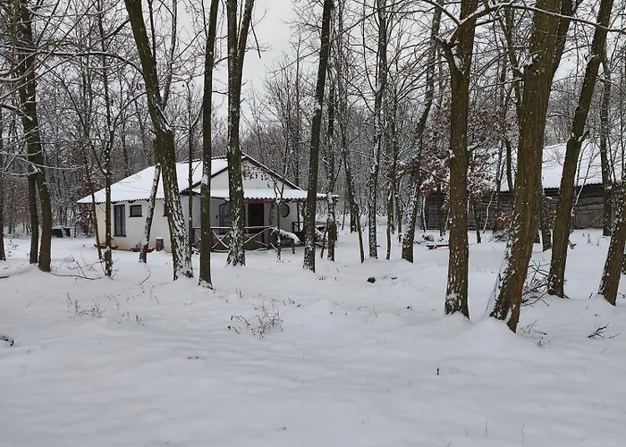 Apartament Furo Vendeghaz 2 *