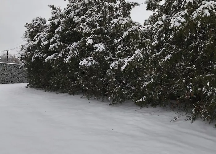 Apartament Furo Vendeghaz 2