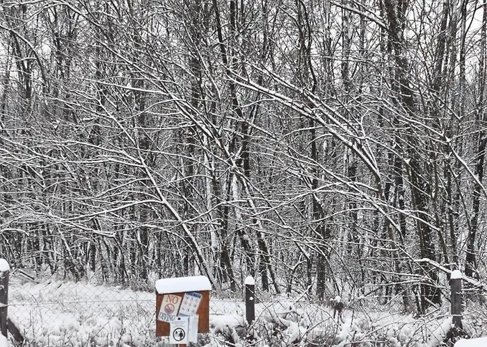 Furo Vendeghaz 2 Apartament