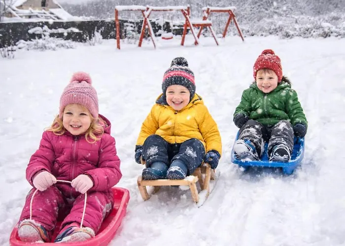 Furo Vendeghaz 2 Fulop